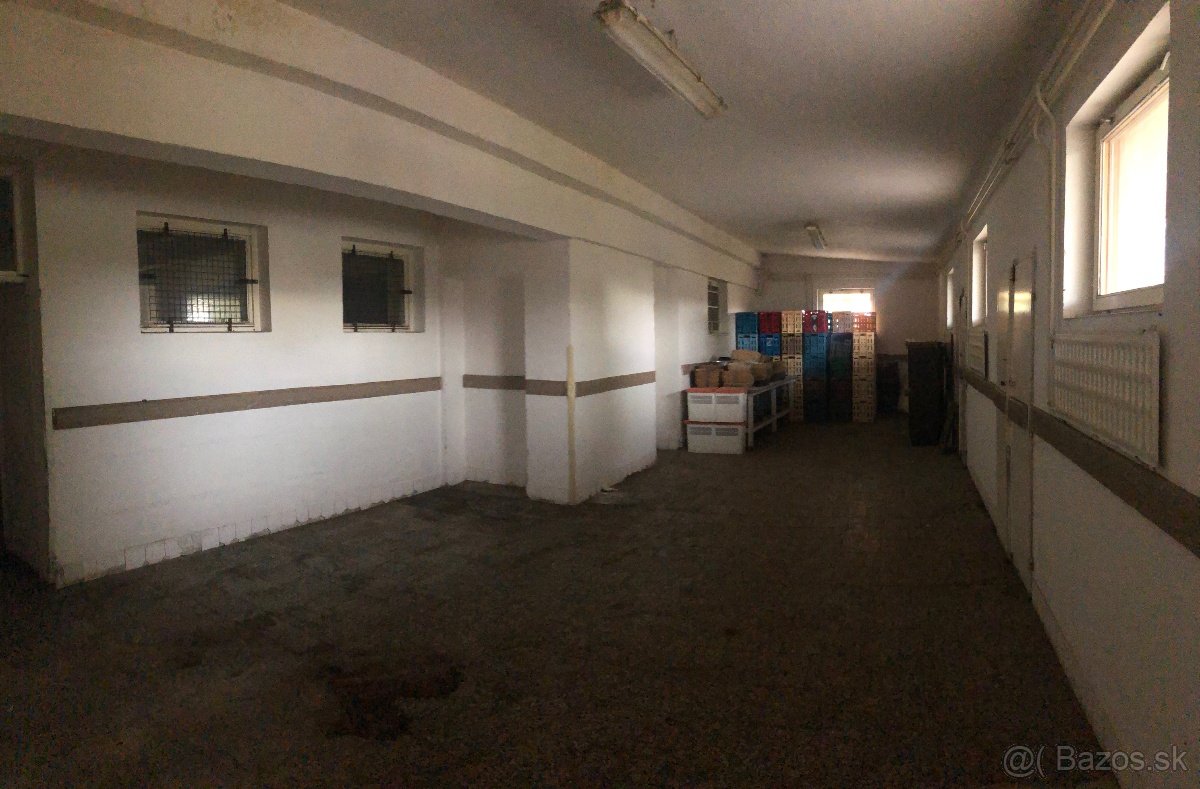 PREDAJ podnikateľského objektu v obci Čifáre, okres Nitra. - 5