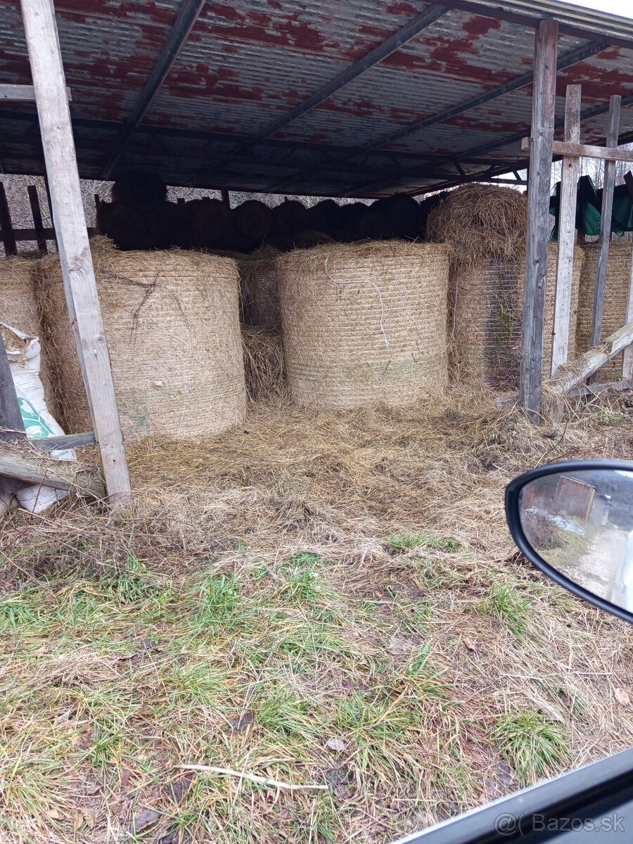 Predám balíky sena - 5