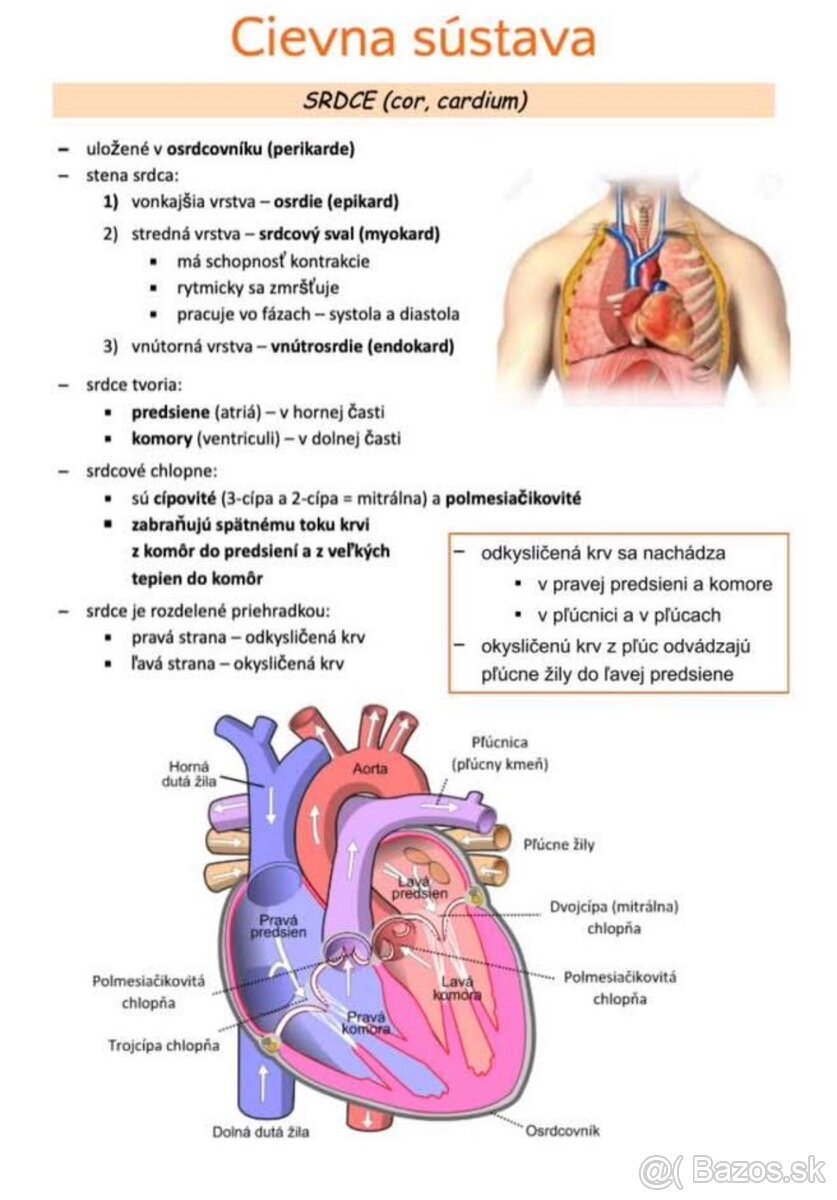 LF UPJŠ prijímačky - 5
