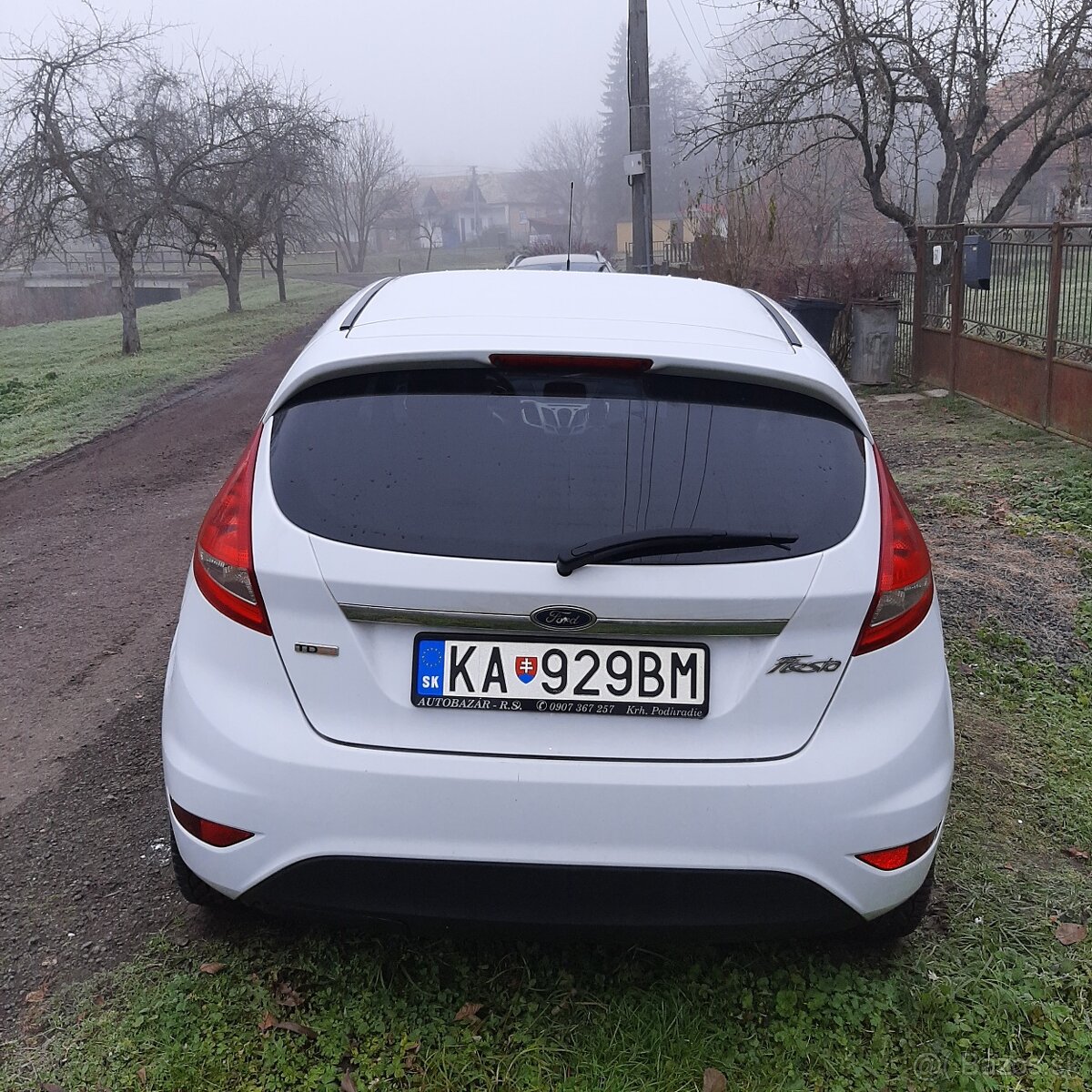 Ford fiesta - 5