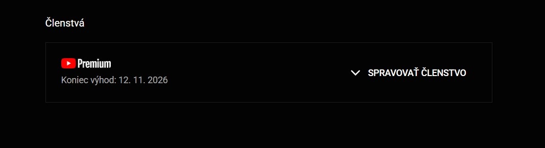 YouTube PREMIUM 12/24 M (AKCIA) - 5