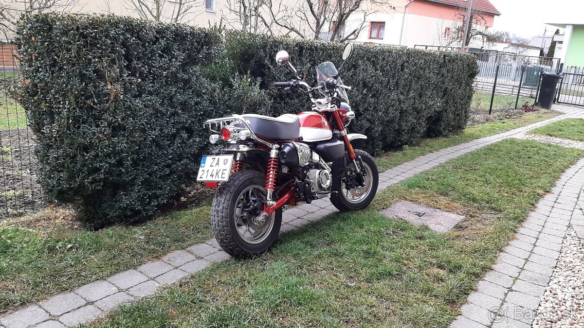 Honda Monkey 125 - 5