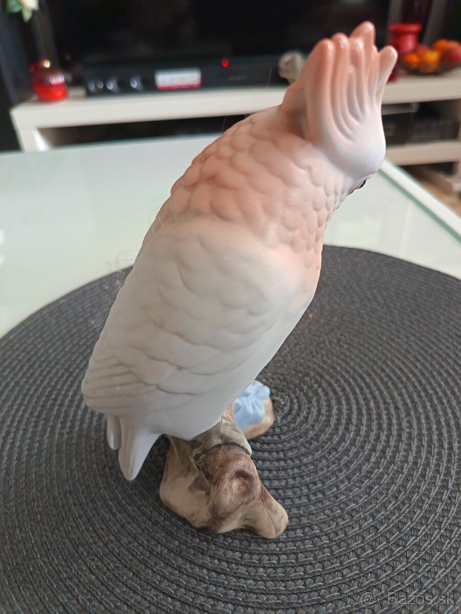 Papagáj Kakadu Royal dux - 5