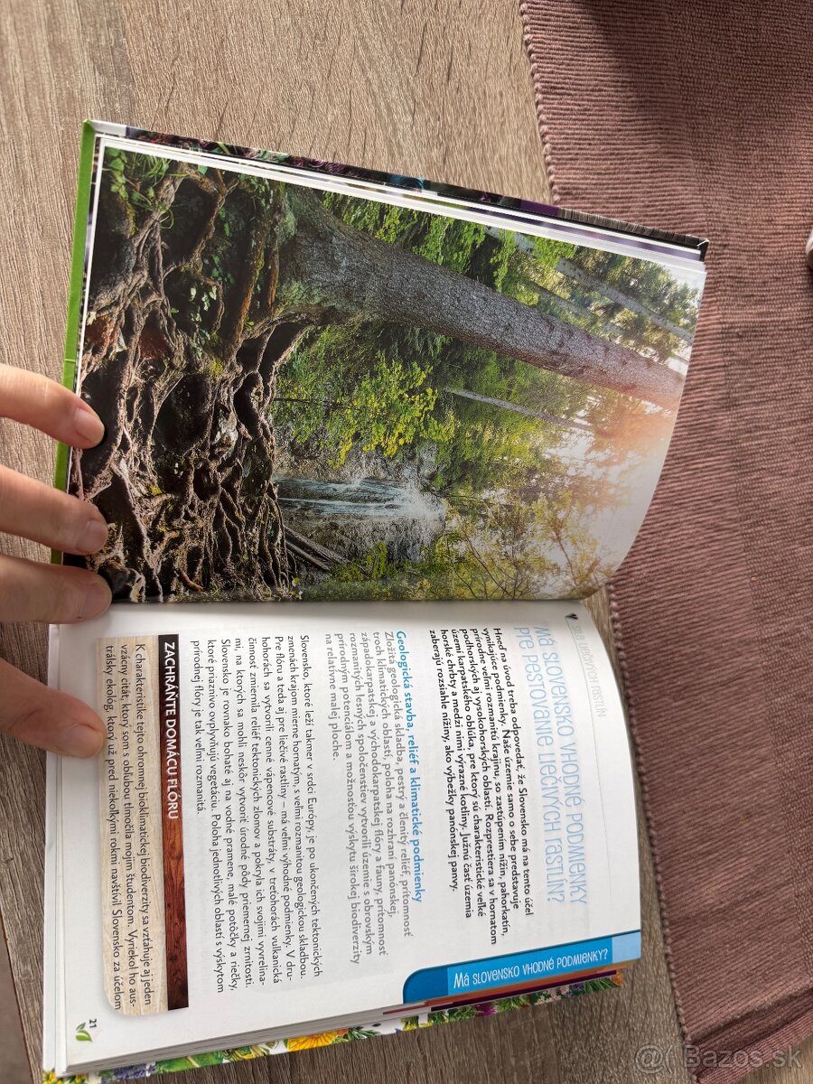 Sila liečivých rastlín - 5