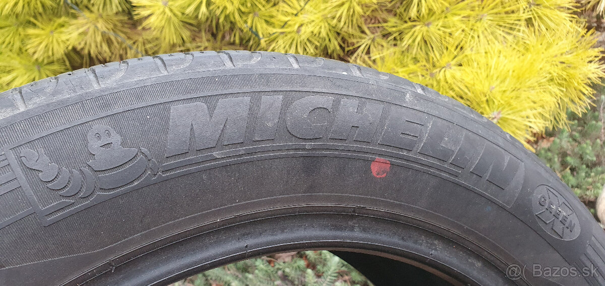 MICHELIN ENERGY EV , LETNA, 195/55 R16, 91Q - 5