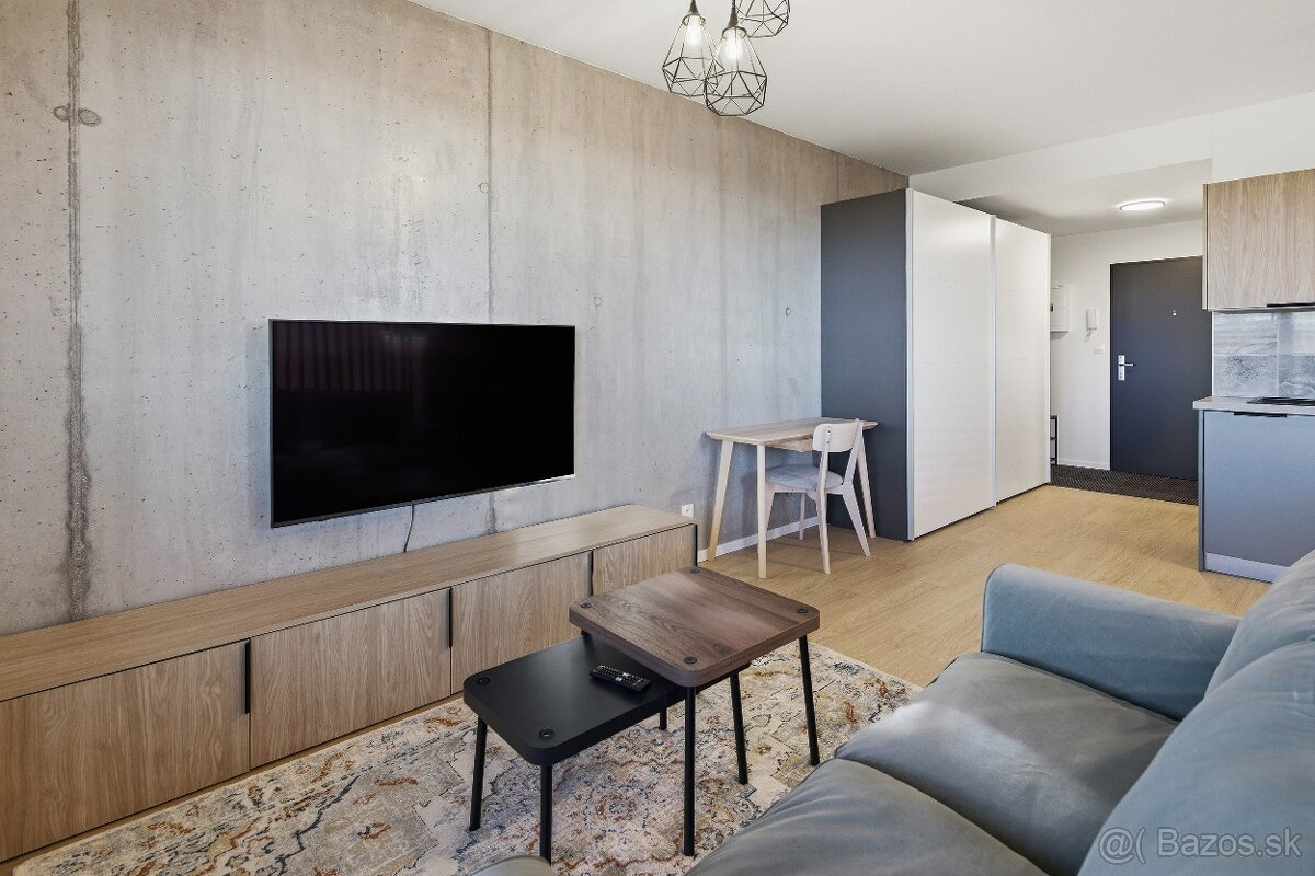 Štúdio na prenájom Ge.Goliána - 5