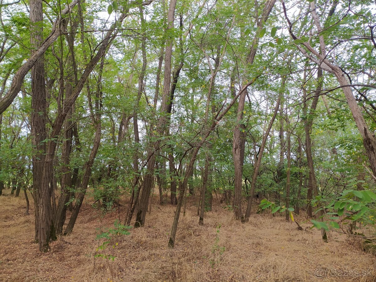 Hľadá sa nový majiteľ jedinečného pozemku v obci Láb. - 5