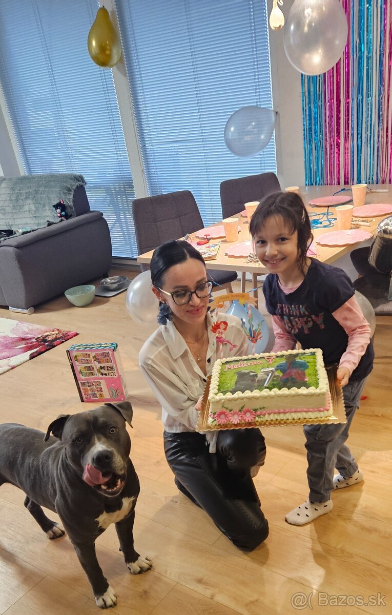 Krytie - Americky Stafordsirsky terier - 5