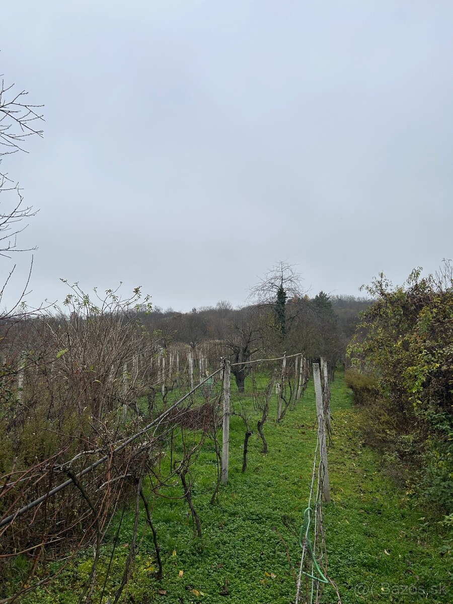 Rodinný dom v Koplotovciach - 5