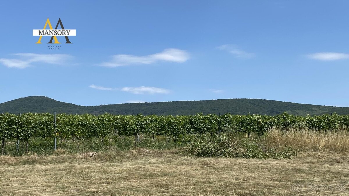 Na predaj vínny dom s vinicami a vínnymi pivnicami 13974 m2 - 5