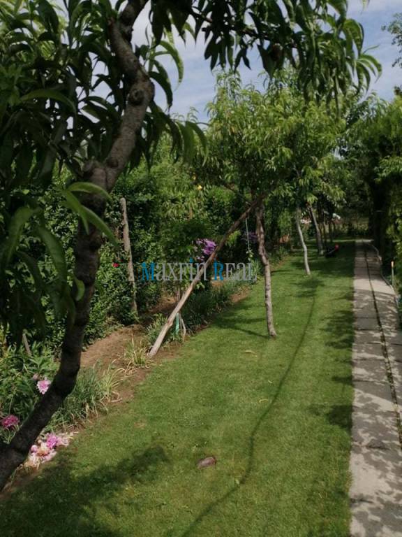 MAXFIN REAL - NA PREDAJ chata s bazénom v Nových Zámkch - 5