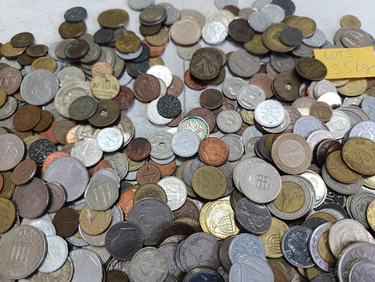 Mince 3.5kg lot5 - 5