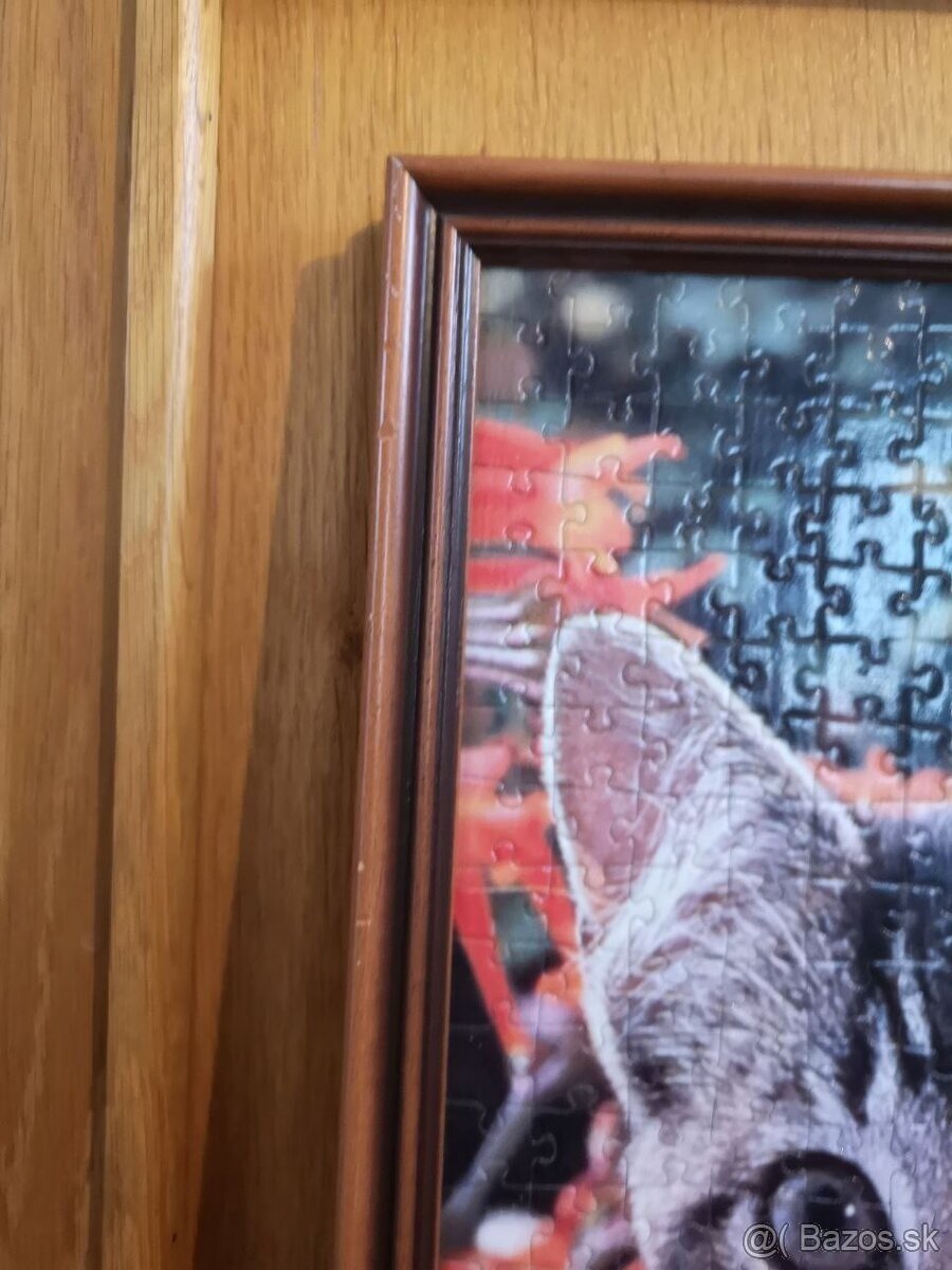 Puzzle mačky s rámom - 5