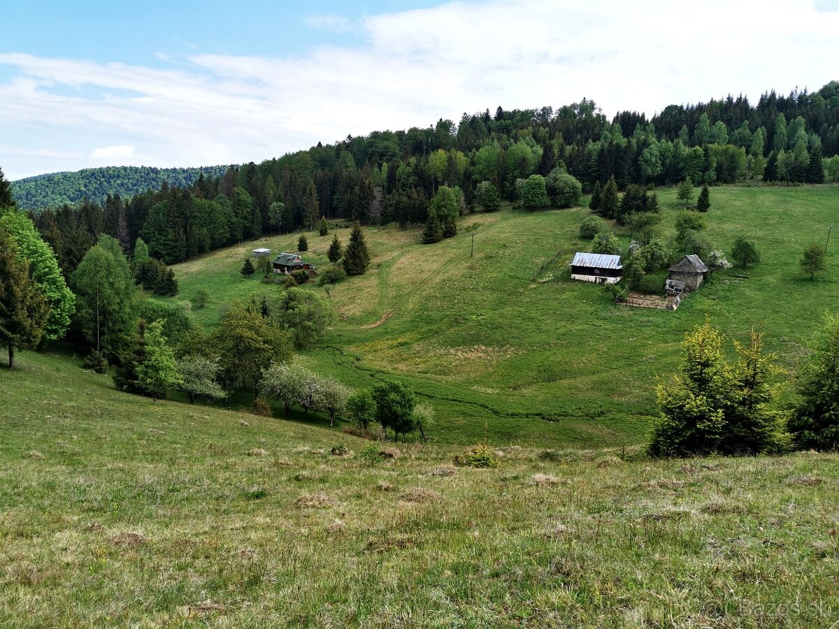 POZEMOK 12 000m2 na Samote v okolí Dreveníc, Potôčik, Elektr - 5