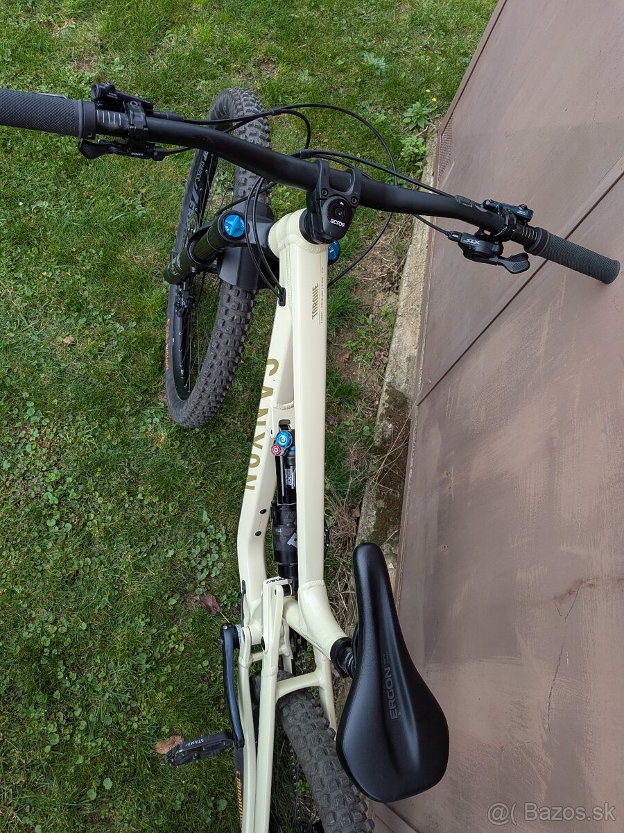 Canyon Torque Mullet AL - 5