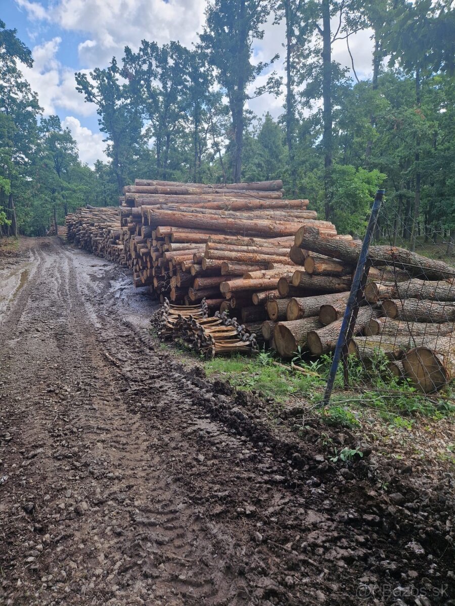 Dubové drevo_Vykurovanie_Predaj_Doprava_19112025 - 5