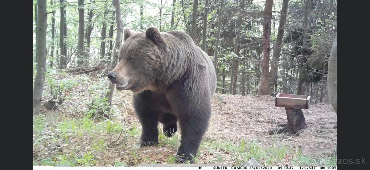 fotopasca mms suntek hc300,900,910,940,950,960 M/lte/pro/a - 5