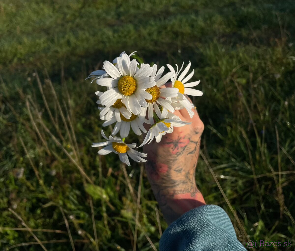 Záujem o kúpu slnečného pozemka na samote - 5