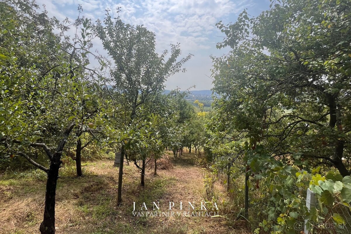 Záhrada s vybudovanou betónovou platňou na stavbu chaty - 5