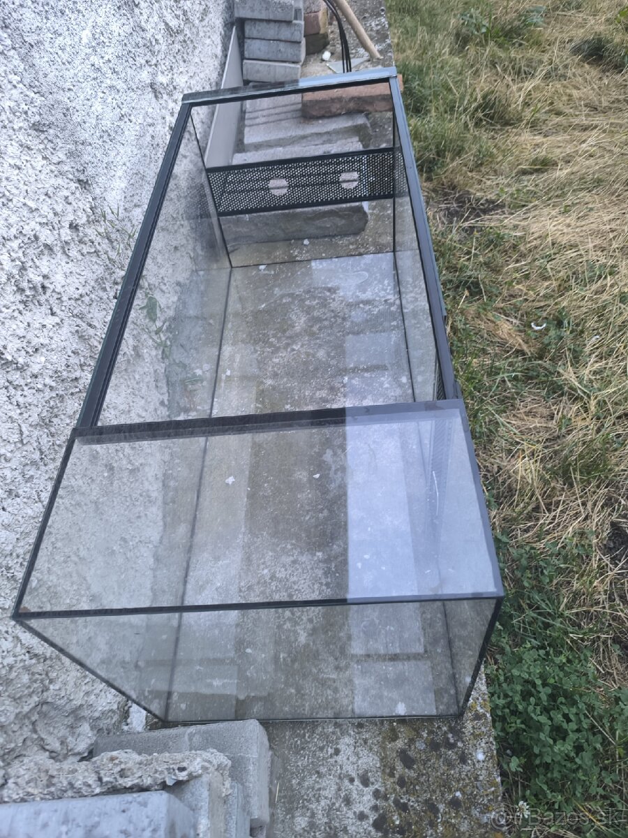 Terarium - 5