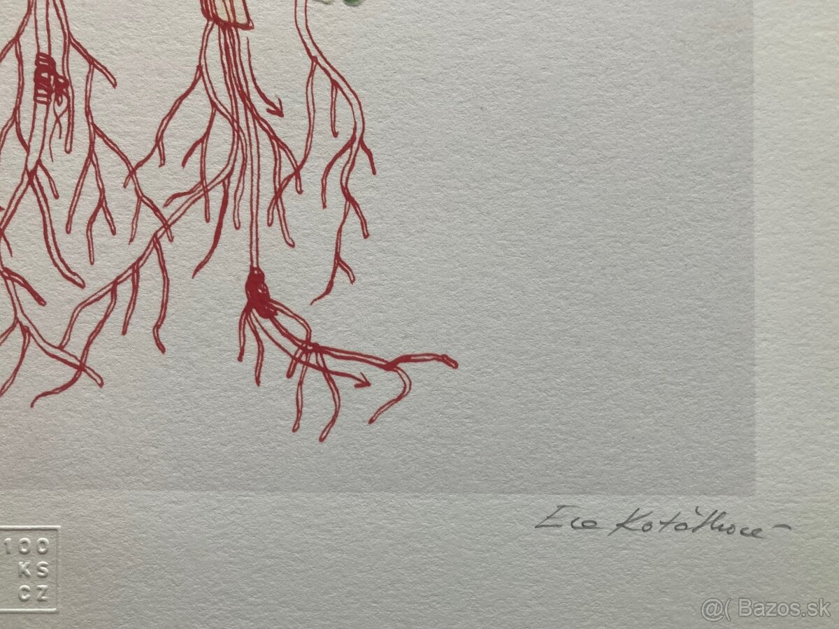 Eva Koťátková - Replanted - 5