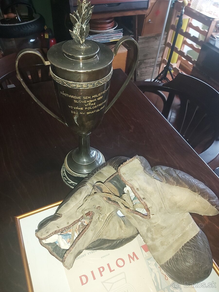 Starodávne boxerské rukavice - 5