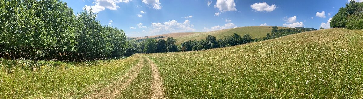 Predám pozemok v Obci Podbranč - 5
