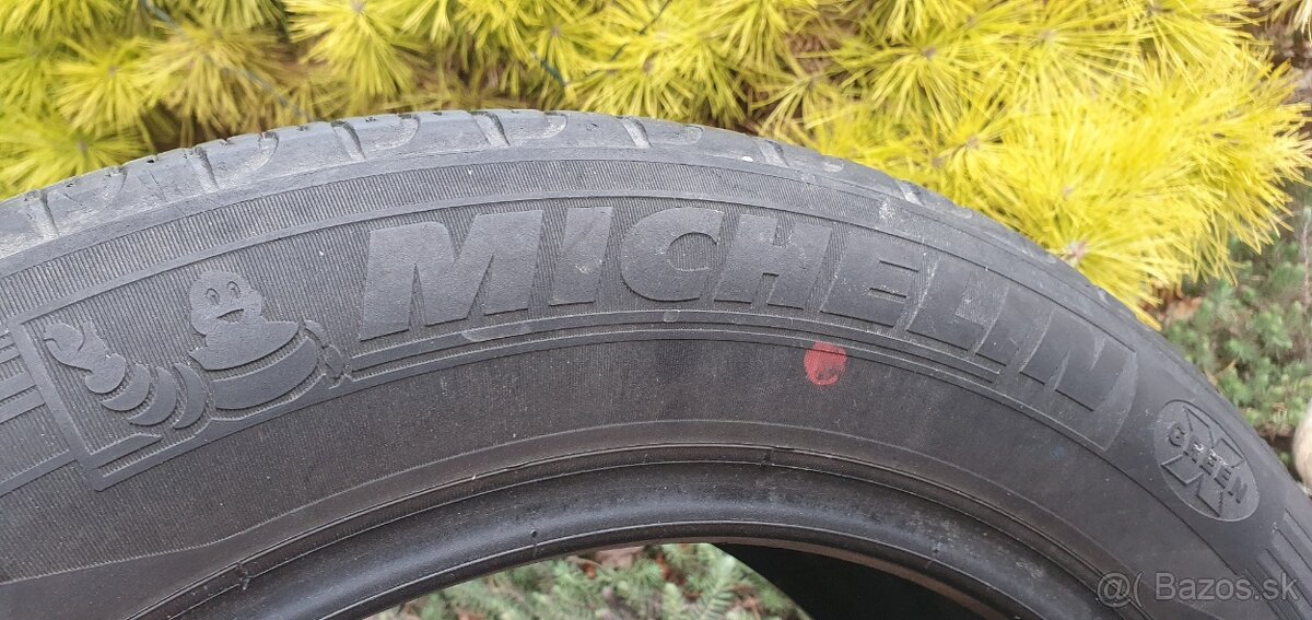 MICHELIN ENERGY SAVER EV , LETNA, 195/55 R16, 91Q - 5