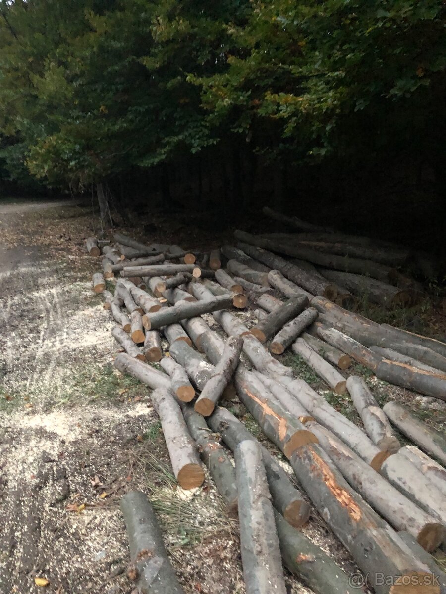 Predám palivove drevo buk jasen doprava 30km gratis - 5