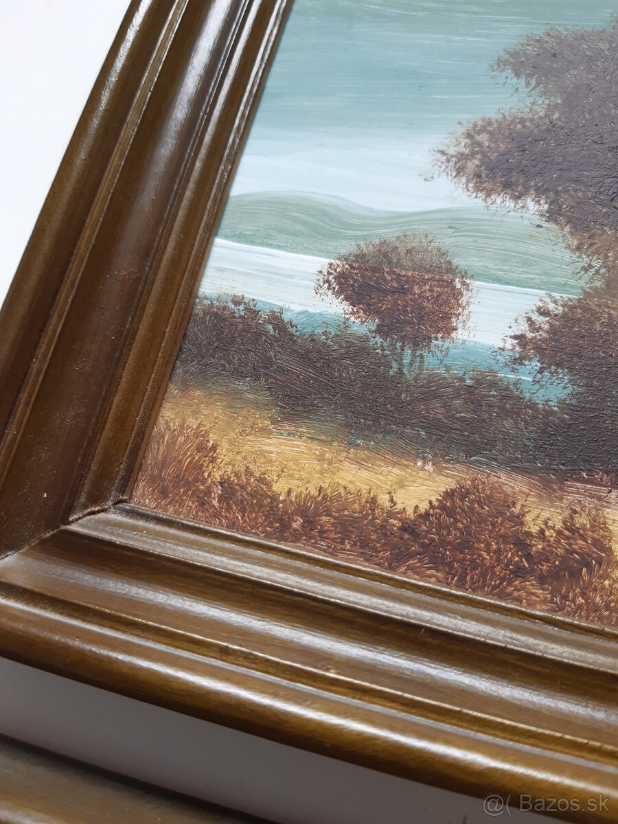 2 maľované obrázky - 5