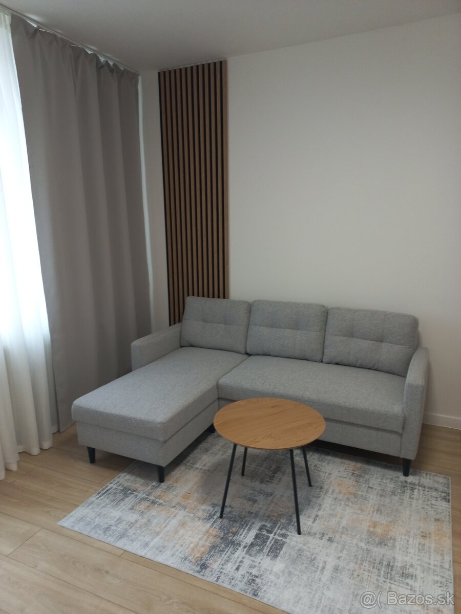 Prenajmem 1 izbový byt v centre KE-Palárikova 3 - 5