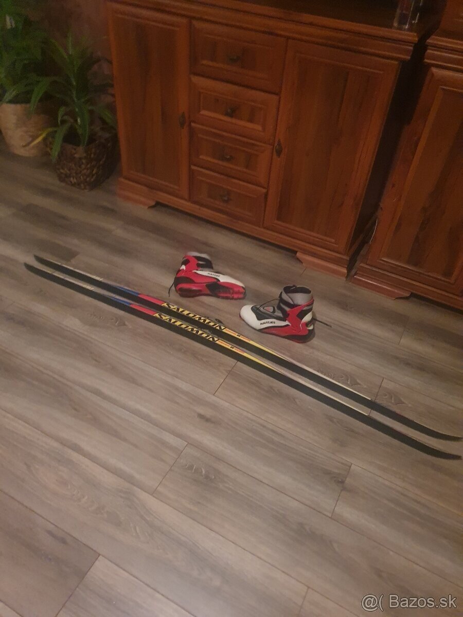 Predam bezkovy set,SALOMON,179 cm,SNS,c.9,5-SKATE - - 5