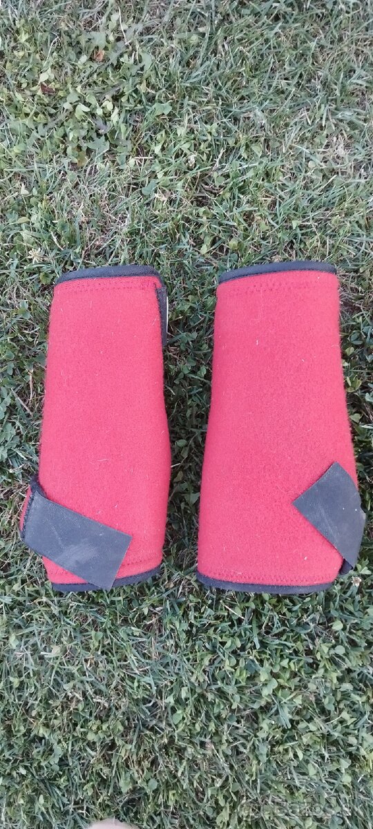 Veci pre koňa a jazdca - 5