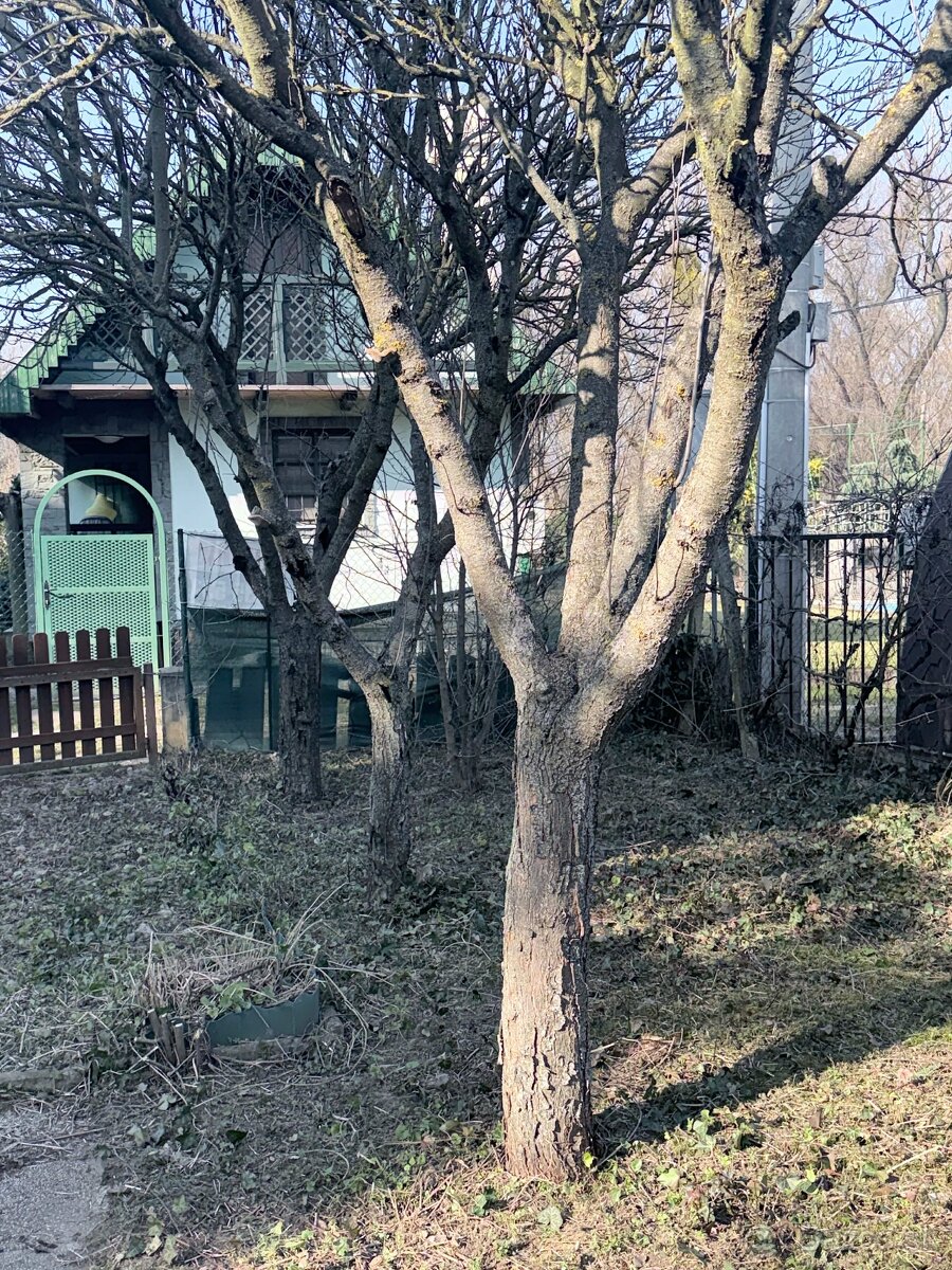 Záhradka na predaj pri Váhu - 5