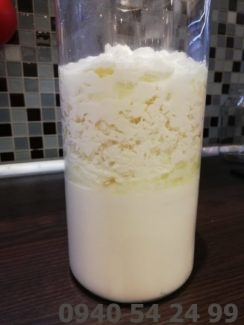 Domáci kefír - Tibetská huba - 5