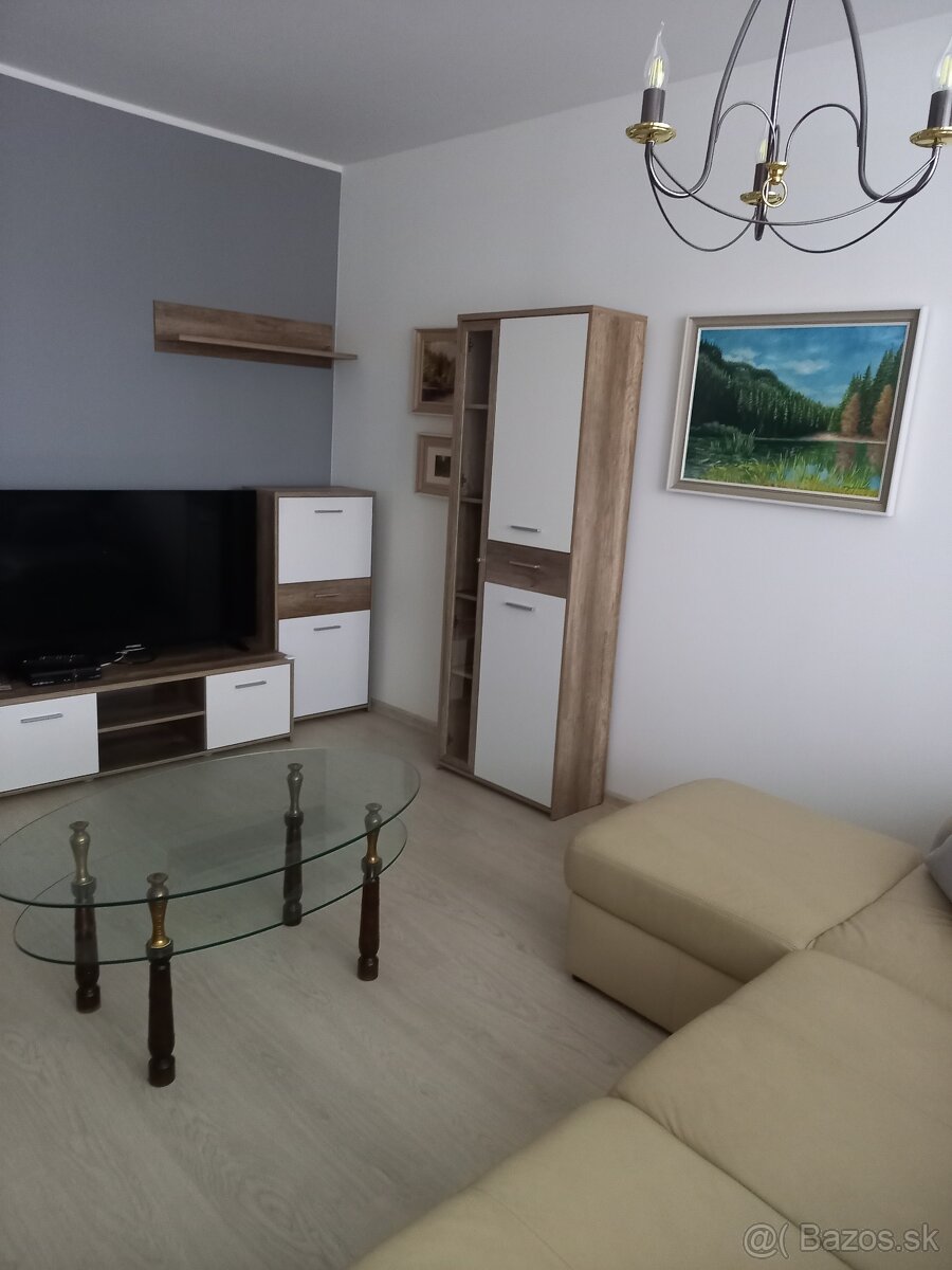 Dlhodobý prenájom 3 izbového bytu - 5