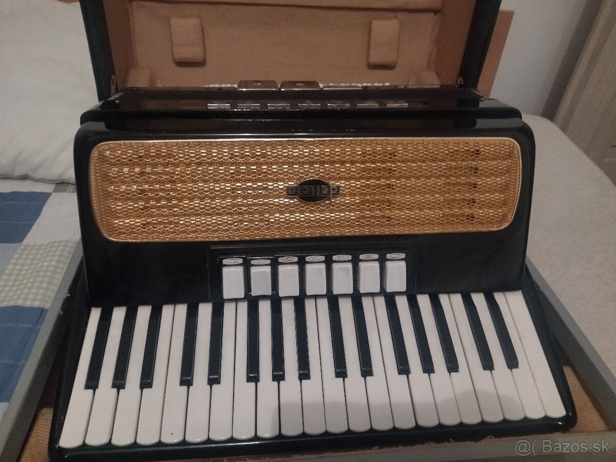 Harmonika Carmen Delicia - 5