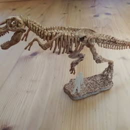 Hra Paleontologické múzeum - 5