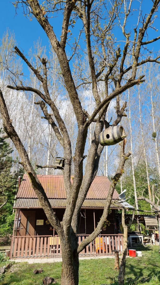 Prenájom pozemok Gabcikovo - 5