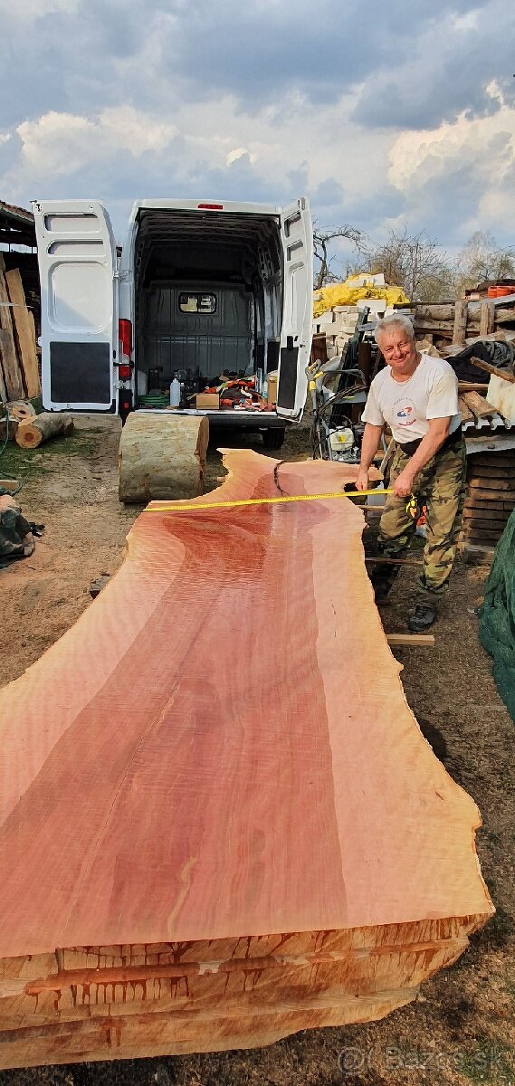 Platanove drevo. - 5