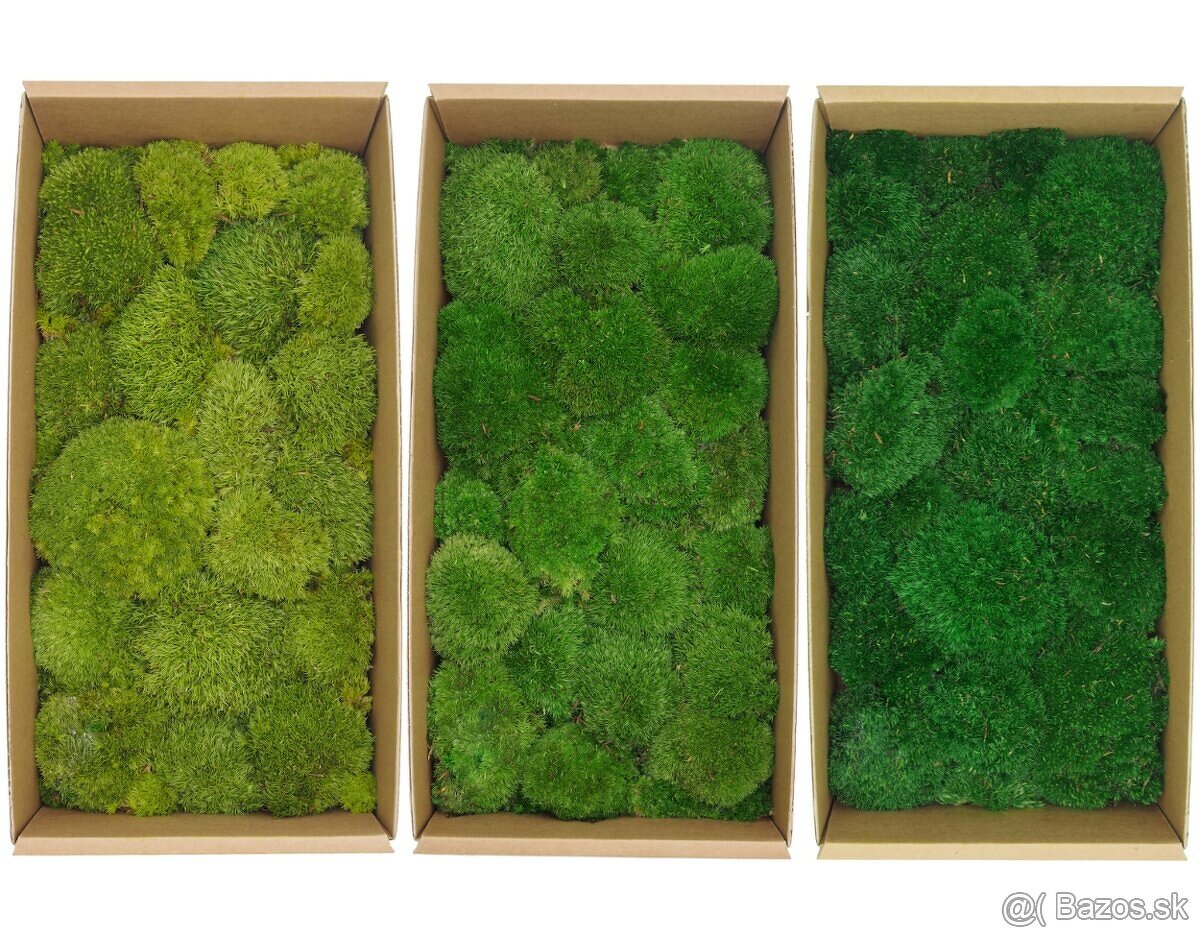 Stabilizovaný mach na výrobu vlastných obrazov - 5