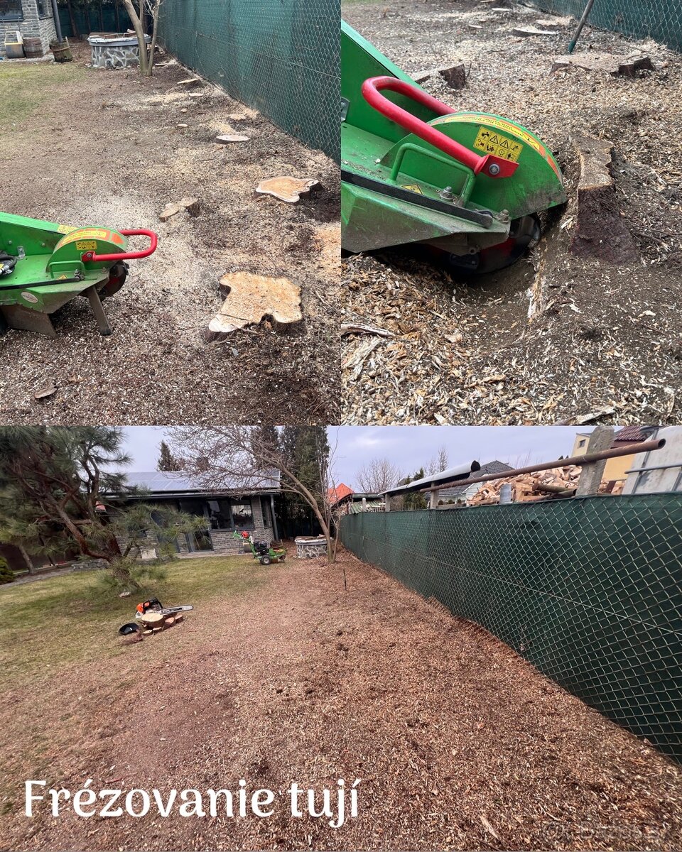 Výrub stromov, rizikové pílenie stromov, odstránenie pňov - 5