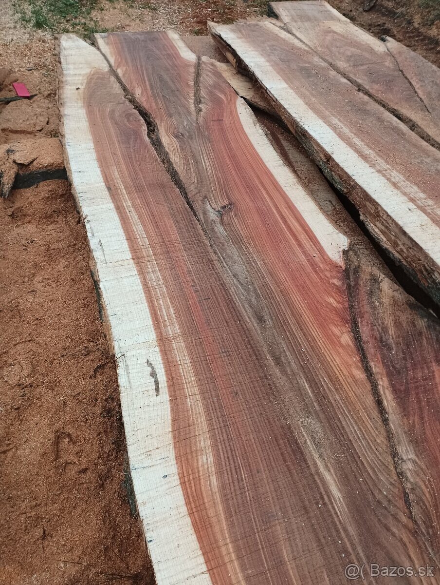 Brastové forsty - 5