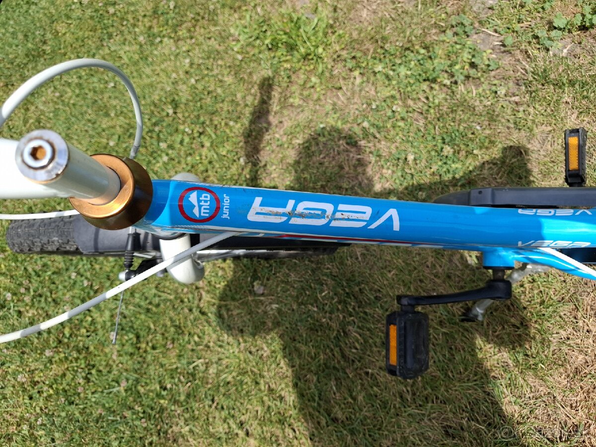 Detský bicykel Dema Vega20 Junior - 5