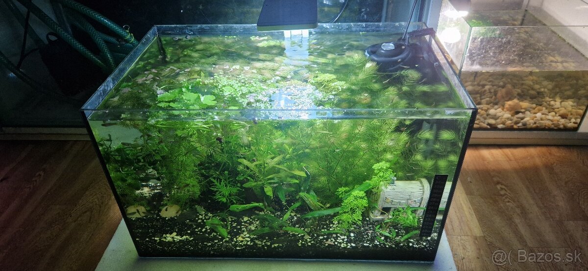 Akvárium 45l - 5