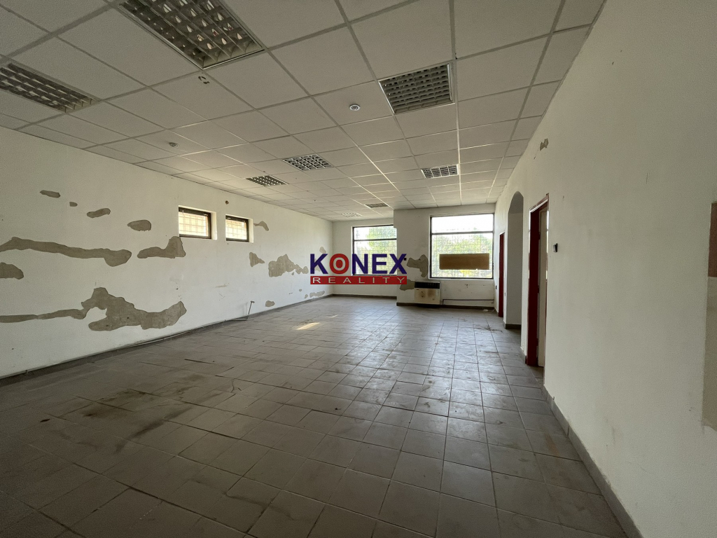 Fotografia 5