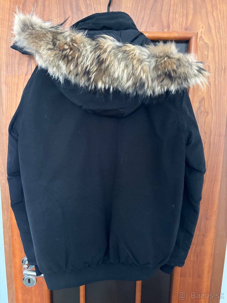 Canada Goose - 5