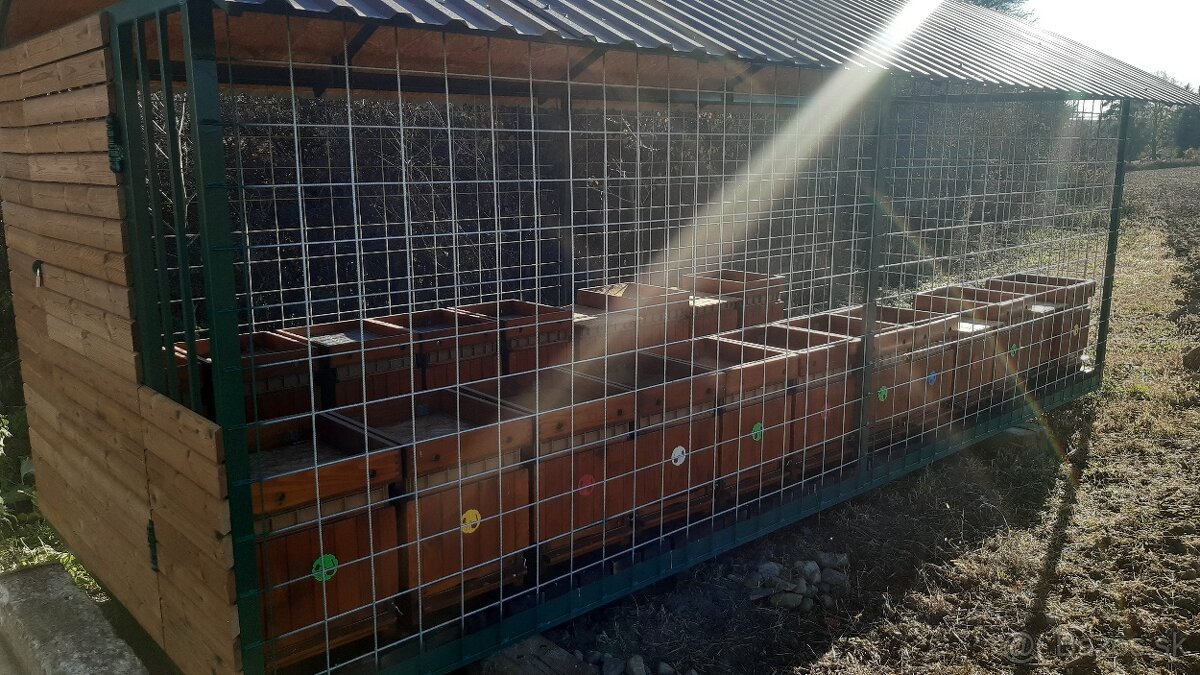 Predam včelin, klietka na uľe - 5