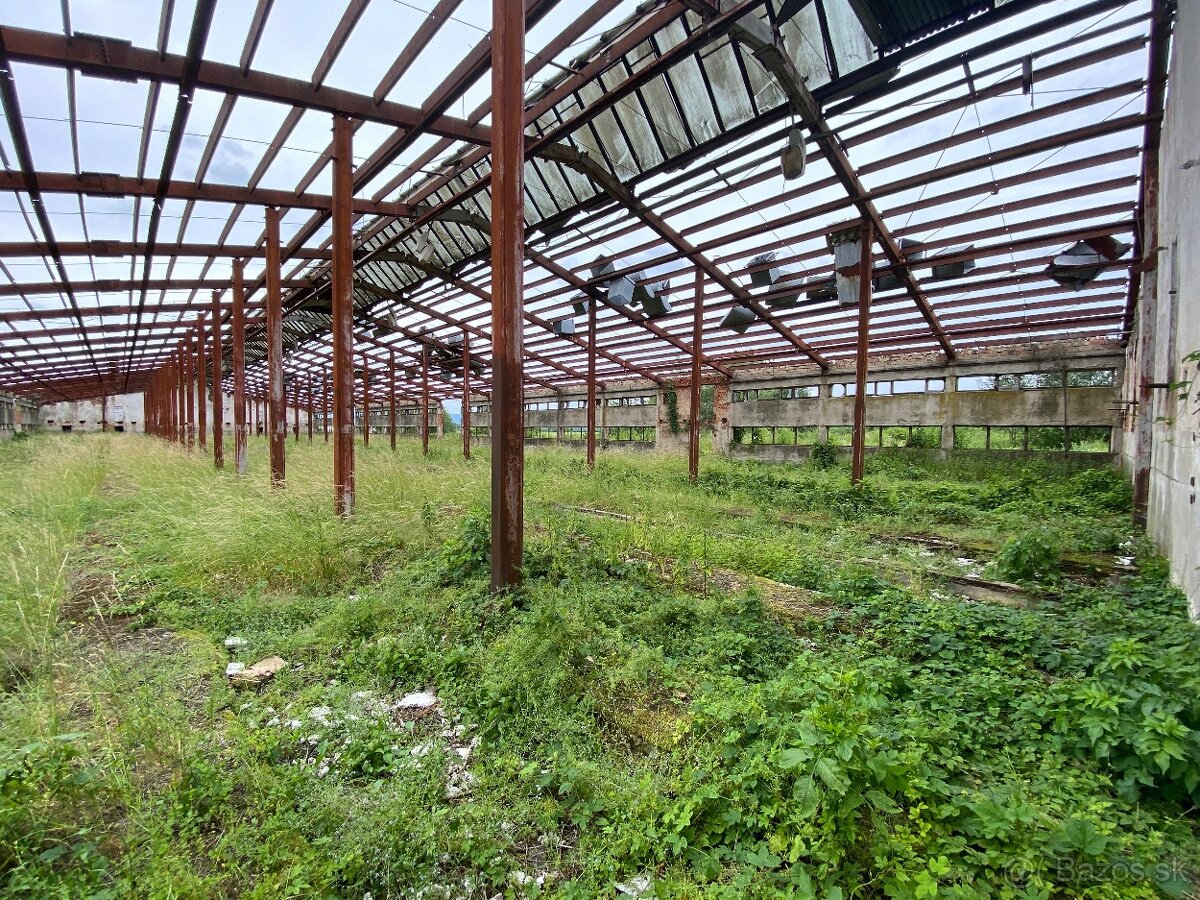 Hala s oceľovou konštrukciou 2878m2 , Rešica, sklad - výroba - 5