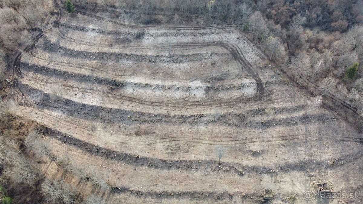 Predám pozemok (2,9ha) so súpisným číslom v obci Stará Huta - 5